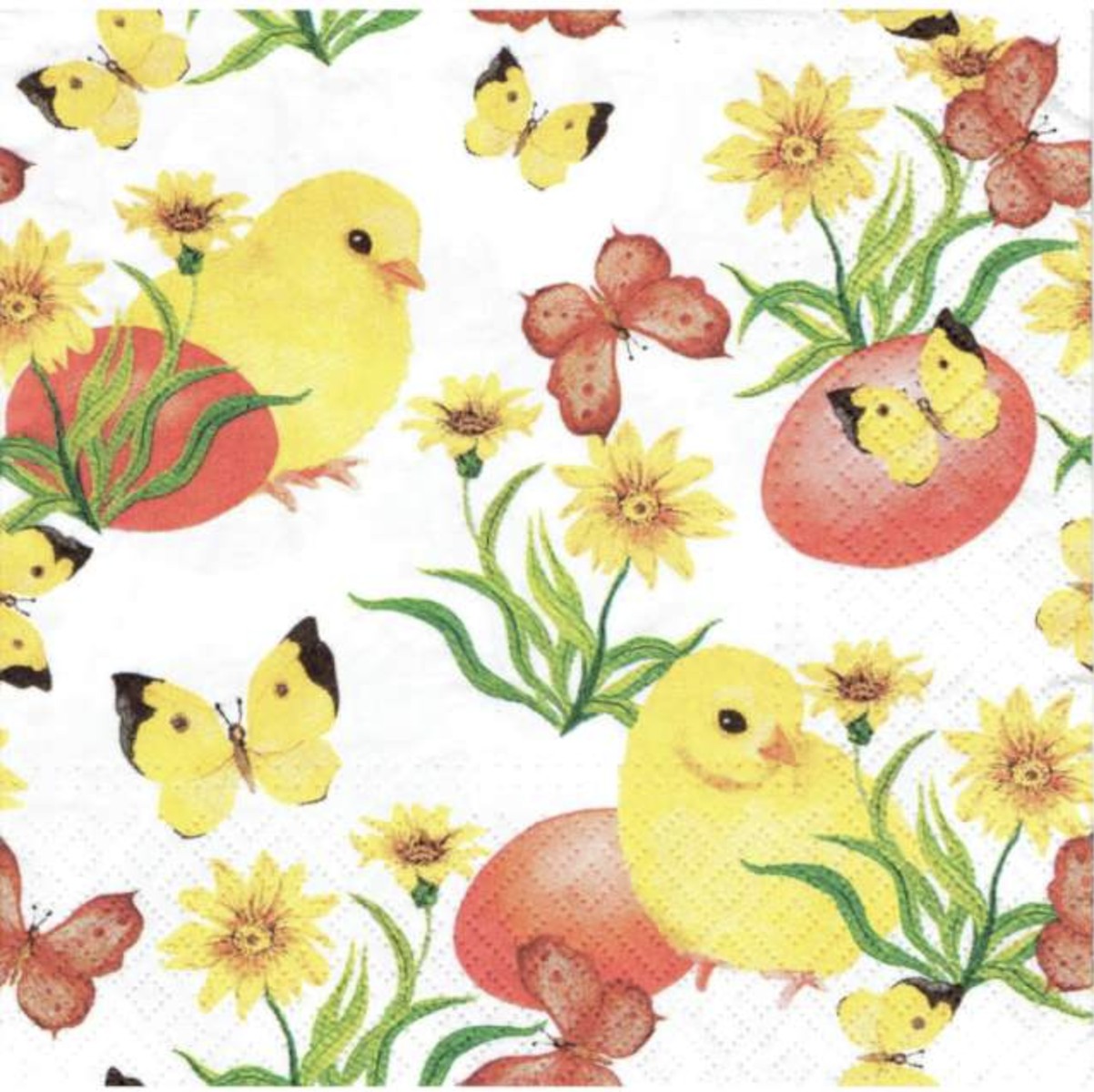 32429_1|84aa976021f659d2269d9303cef1454c