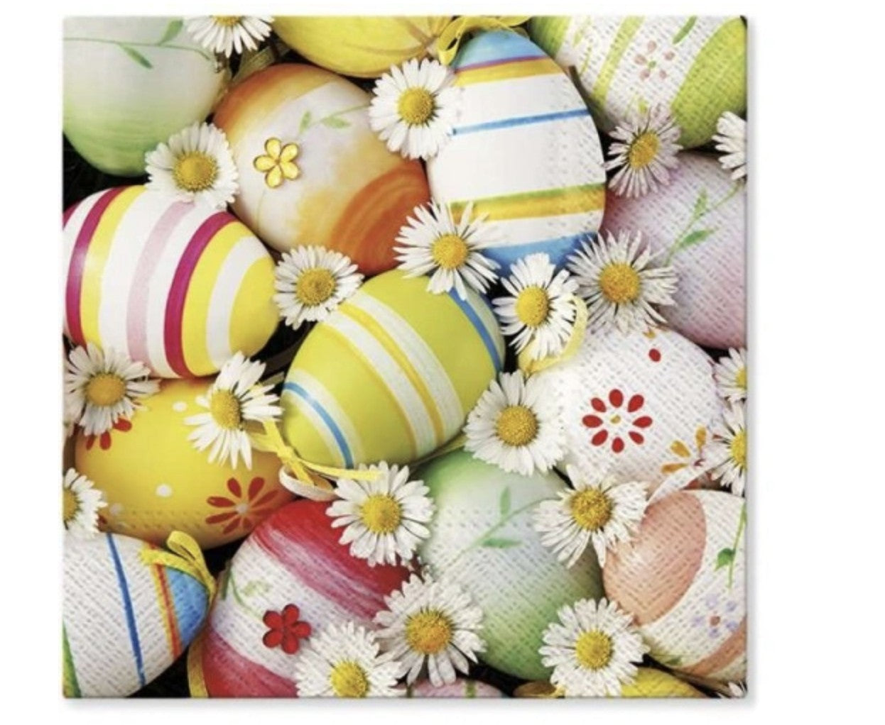 32441_1|c2b3cc0c8f47c2edd344e7072edcb5c0