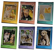 32480_1|9d3c7713e3d0bdc2aeb3ee9b7cd64843