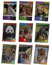 33197_1|e1562500fa3c0c175f7b331b562c6192