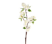 33905_1|7a16306802438071a063584577aecb79