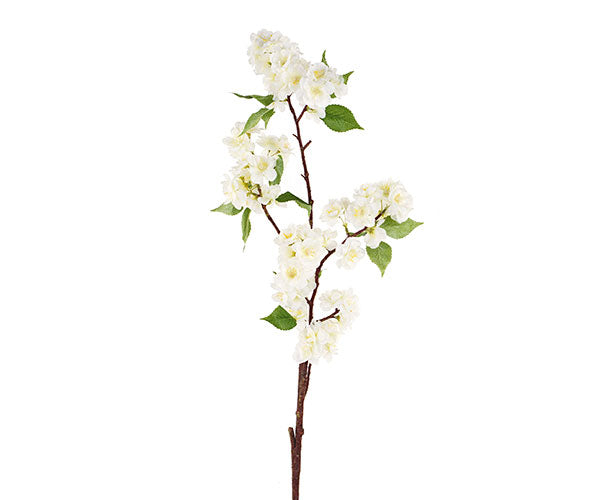 33905_1|7a16306802438071a063584577aecb79