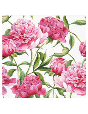 34049_1|f54f6be0db62ce4ef09a8d2f2be23e49