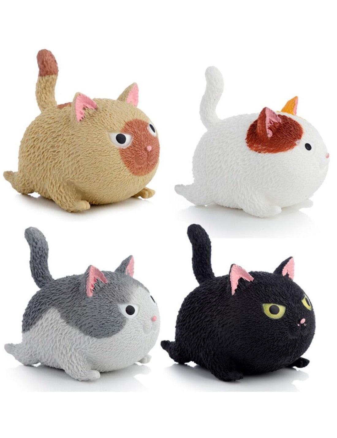 34222_1|afca4d3db607398c484525bd796c85a6