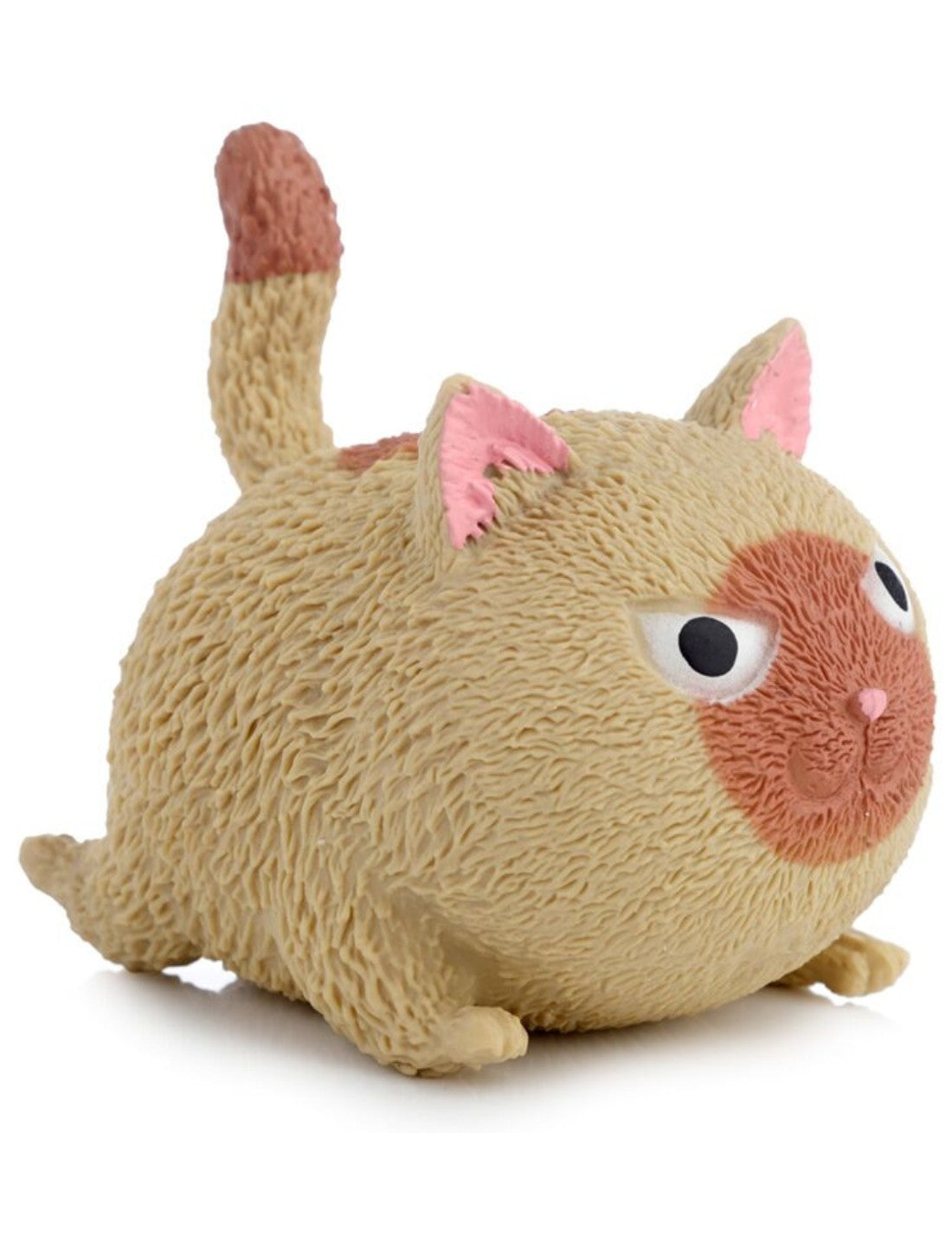 34222_5|ac566a11d0e8b38e0e1bbedea5aa7ee3