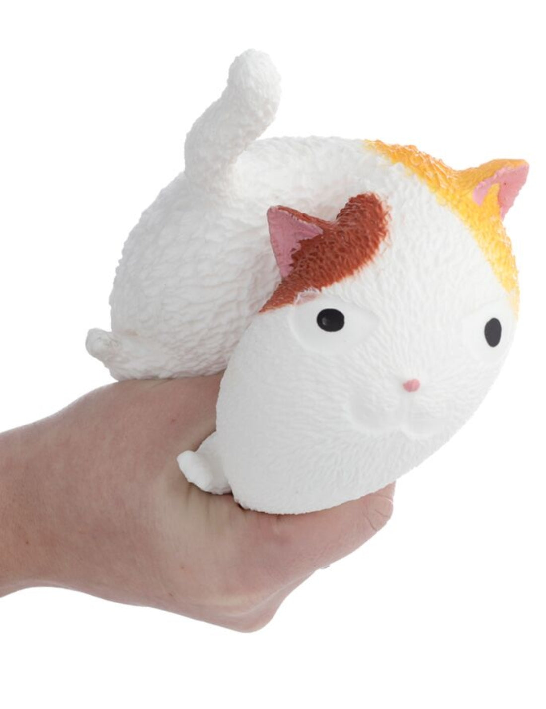 34222_6|96938105ba39009e9a3264bd7ab94b54