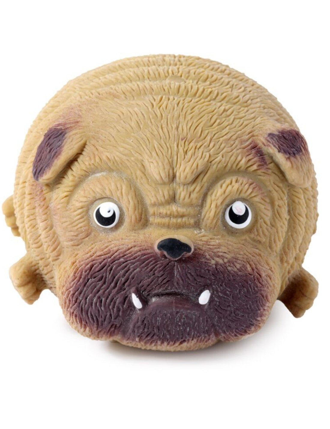 34231_5|f44affec2fa87ba4a1825bc3d5ed046d