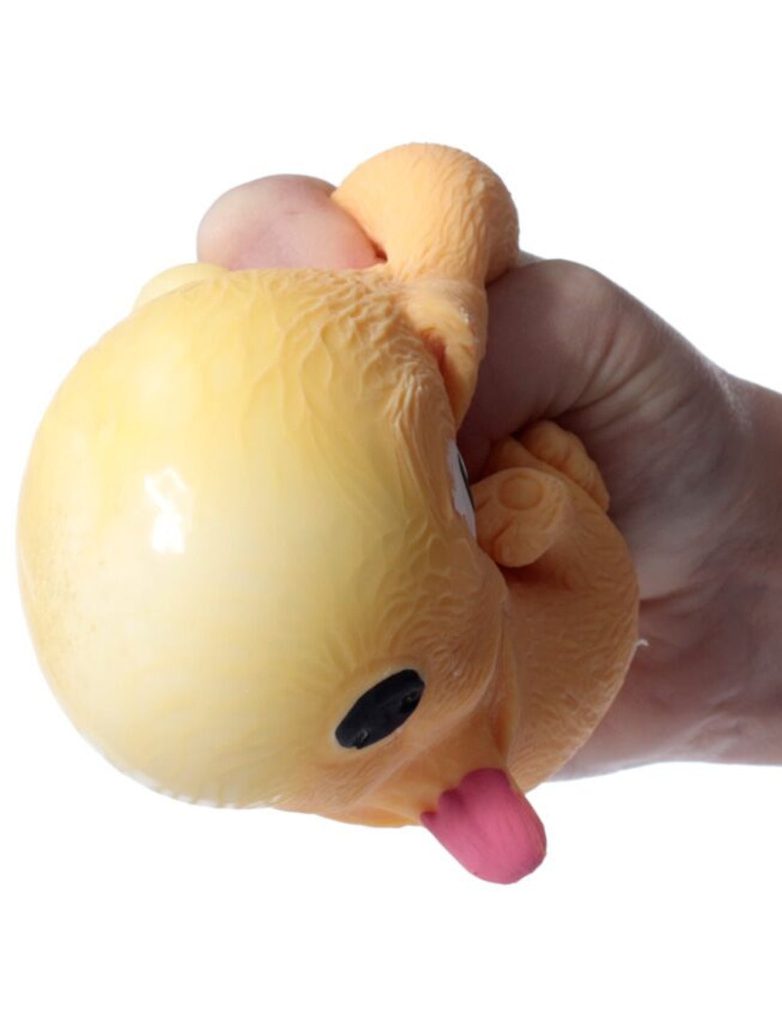 34231_6|2f7cb3e37082830195d922bba085b7e0