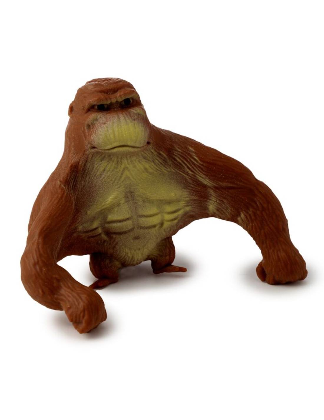 34239_2|5914809d88c5610a84c3b31a44ae2c67