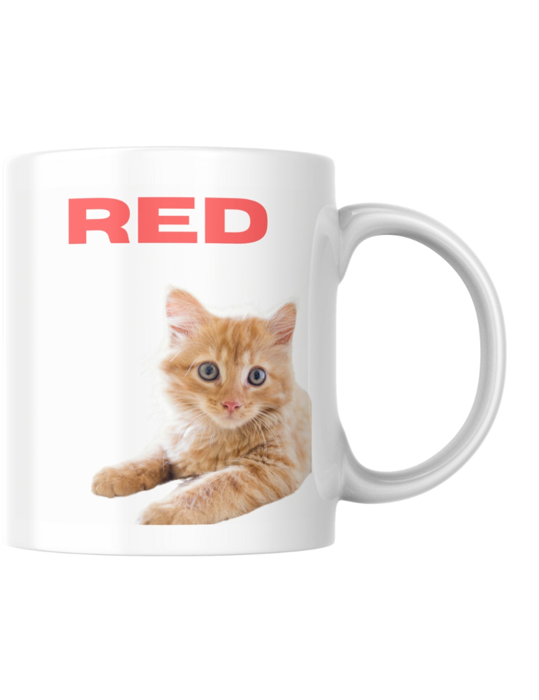 34251_2|73e462c742b48158fd45ea38e2a8df8e