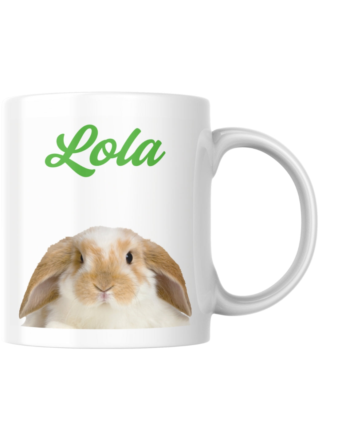 34251_3|f3fe743a83da350944d0ff58bfa5437d