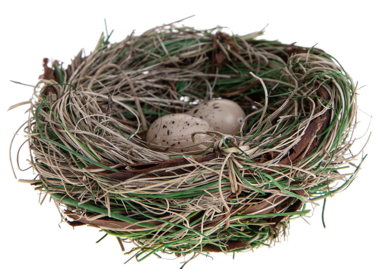 34334_1|9ebaf0dfda1885d75f2fdfd2ce5e2645