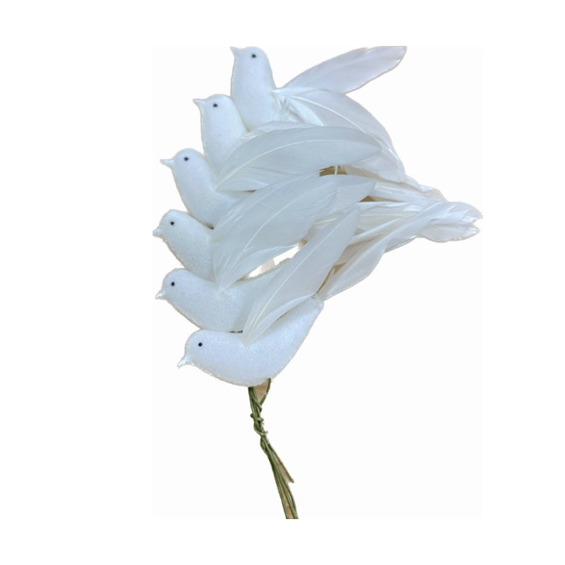 34339_1|900413d207b7a1b76ddcb76185d60027