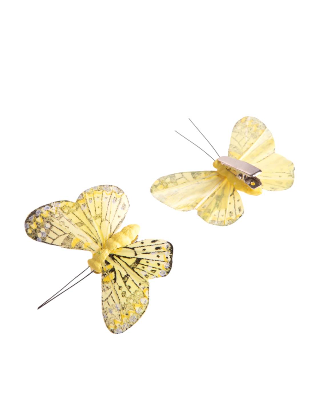 34341_1|33c4e6800831e92a538840c667be7d3c