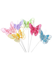 34342_1|fcfd28d2d14e92c82e29ecf51b5572dc