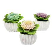 34388_1|fb938dd4324965c8c5984eb1a7eb33f7