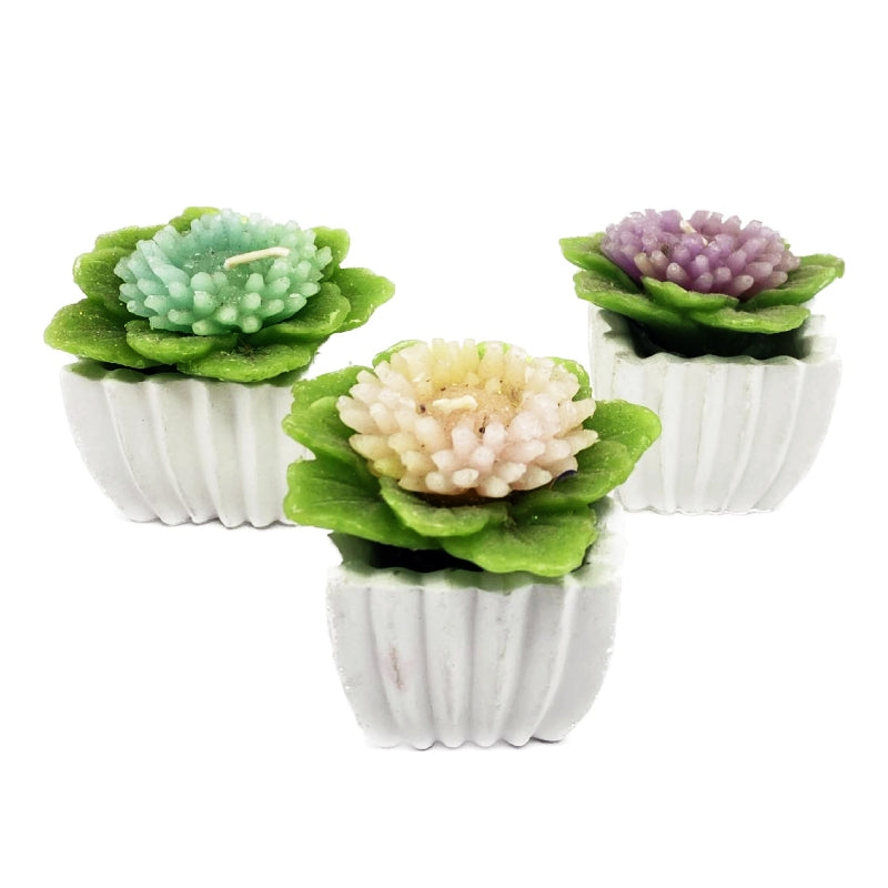 34388_1|fb938dd4324965c8c5984eb1a7eb33f7