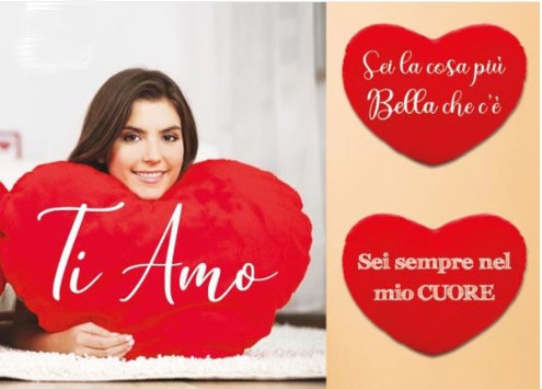 Peluche Cuscino Cuore Frasi Romantiche 45cm