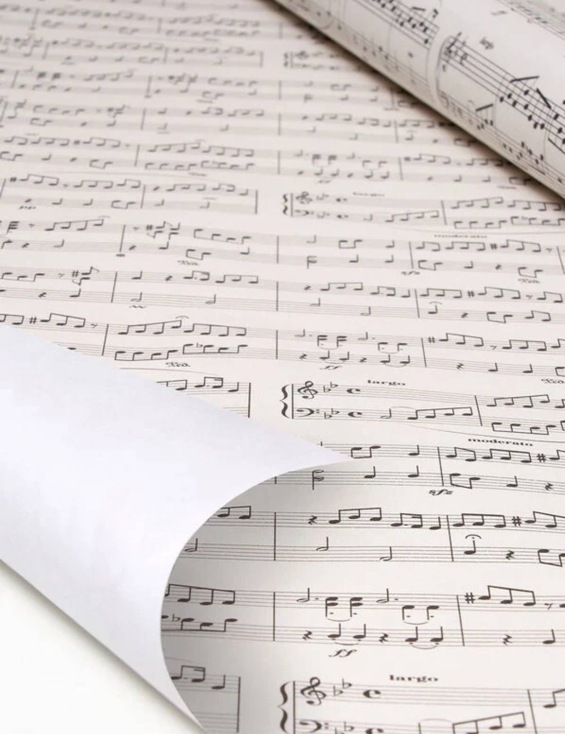 Carta Da Regalo Note Musicali Legami