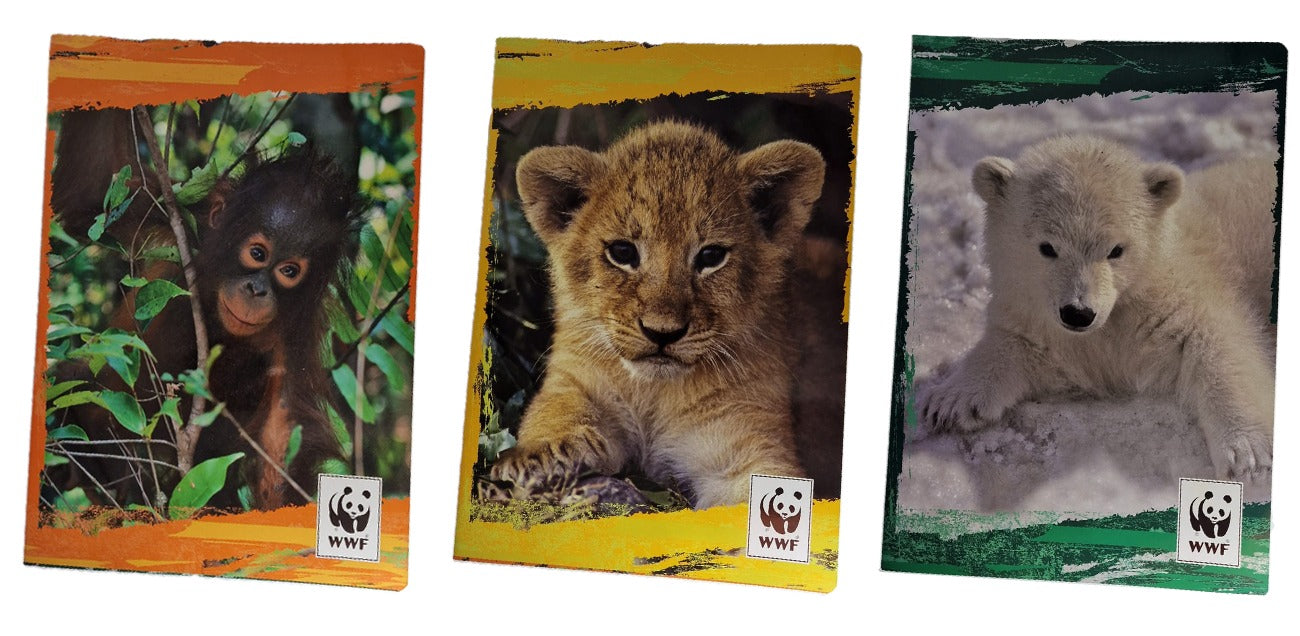 34999_1|fabe2865f579ad94d73bd4b6f19e635e