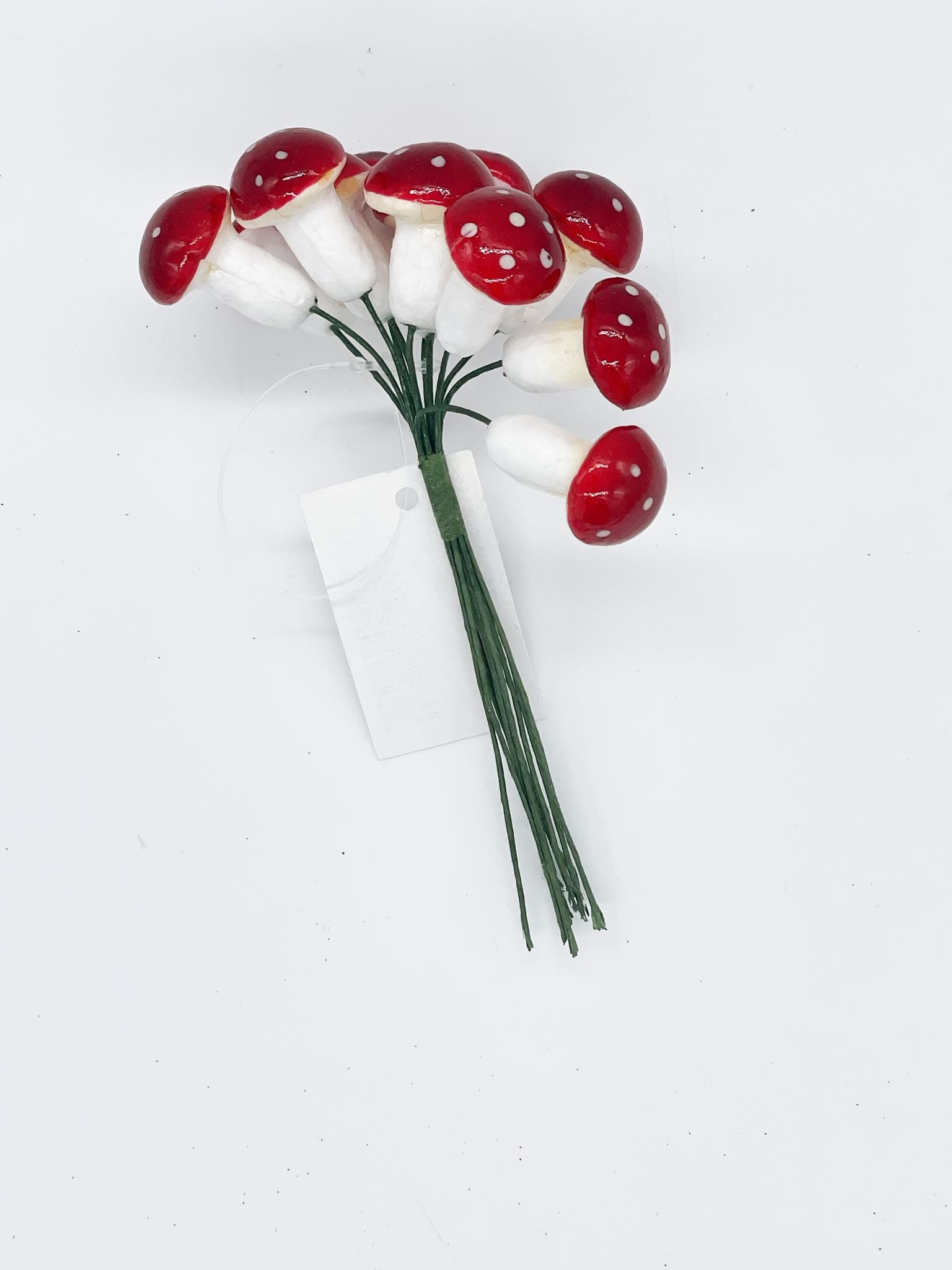 35085_1|6bbe6fca60a8165edc57e353a0934c4f