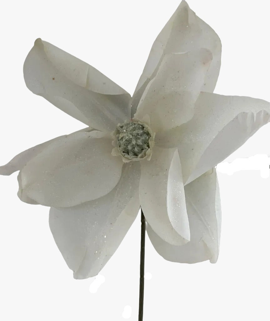 35089_1|e9ace93de526de9aa6db0a2068dfab68