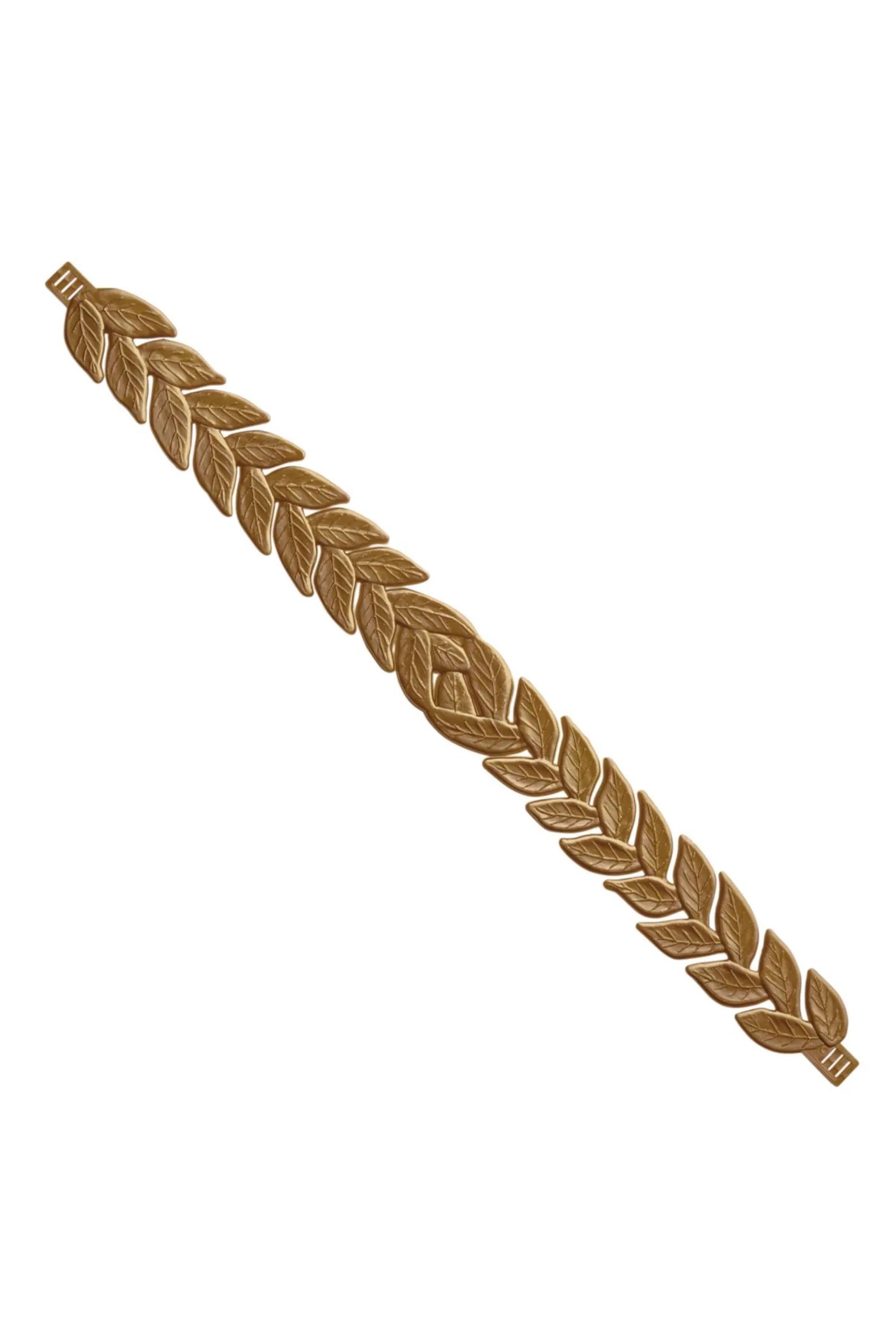 41205_2|500545fe897f0dd377d516490fe66708