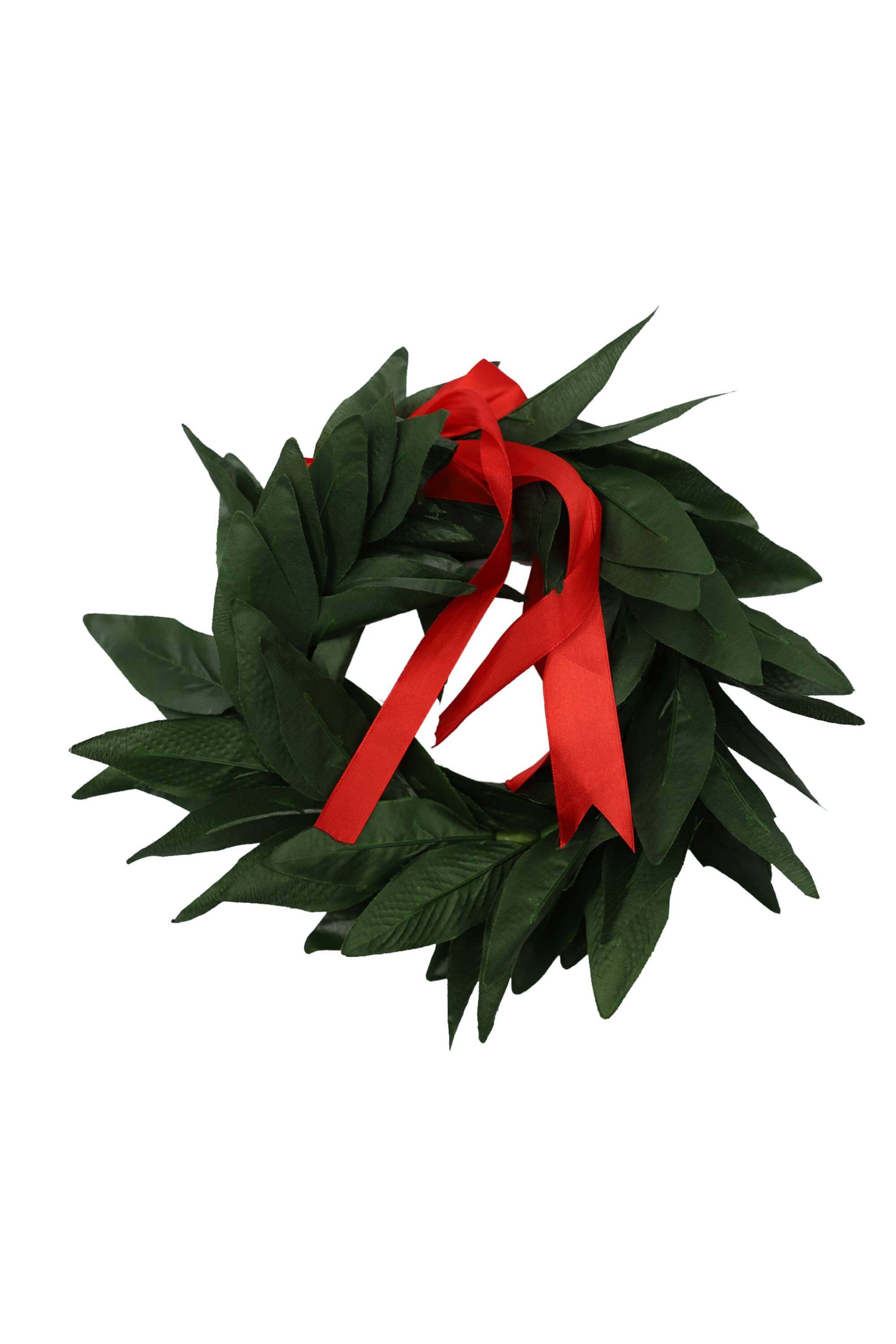 Corona Alloro Nastro Rosso Laurea 35cm