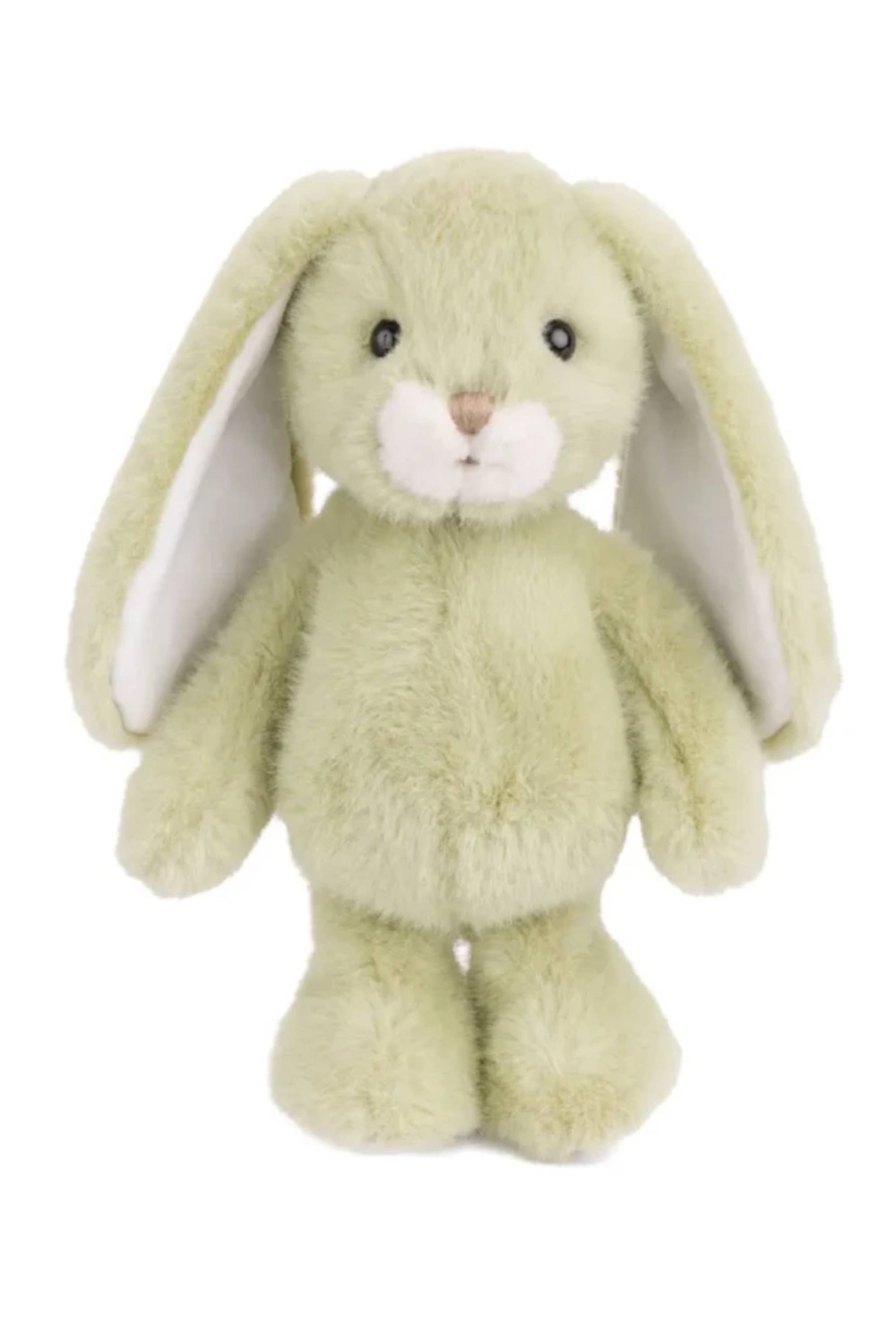 41995_1|b7736d392818d2807c011a90bdd1746f