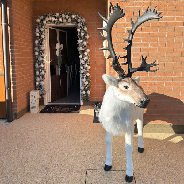 Fuoriporta con ghirlanda innevata e renna decorativa all'esterno